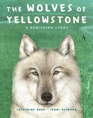 A Yellowstone-i farkasok: A Rewilding Story - The Wolves of Yellowstone: A Rewilding Story