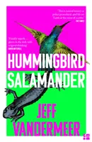 Kolibri szalamandra - Hummingbird Salamander