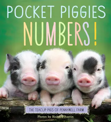 Zsebmalacok számok! A Pennywell-farm teakupás malacai - Pocket Piggies Numbers!: Featuring the Teacup Pigs of Pennywell Farm