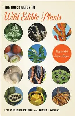 A vadon termő ehető növények gyors útmutatója - The Quick Guide to Wild Edible Plants