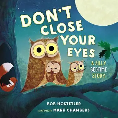 Ne csukd be a szemed: Egy buta esti mese - Don't Close Your Eyes: A Silly Bedtime Story