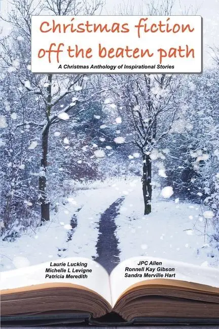 Vánoční beletrie mimo vyšlapané cesty: Vánoční antologie inspirativních příběhů - Christmas Fiction Off the Beaten Path: A Christmas anthology of inspirational stories