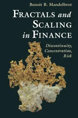 Fraktálok és skálázás a pénzügyekben: Discontinuity, Concentration, Risk. Selecta E kötet - Fractals and Scaling in Finance: Discontinuity, Concentration, Risk. Selecta Volume E