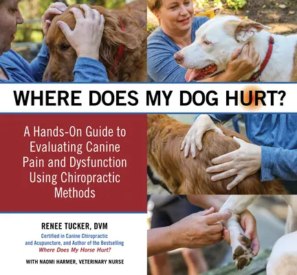 Hol fáj a kutyám: A viselkedési problémák vagy a fájdalom forrásának megtalálása: Kézzelfogható útmutató - Where Does My Dog Hurt: Find the Source of Behavioral Issues or Pain: A Hands-On Guide