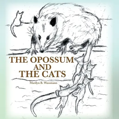Az oposszum és a macskák - The Opossum and the Cats