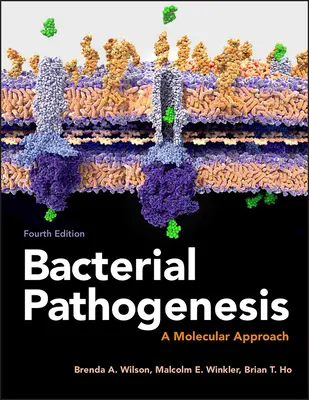 Bakteriális patogenezis: A Molecular Approach - Bacterial Pathogenesis: A Molecular Approach