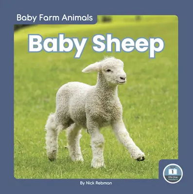 Baba birkák - Baby Sheep