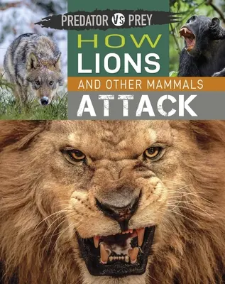 Predator Vs Prey: Hogyan támadnak az oroszlánok és más emlősök! - Predator Vs Prey: How Lions and Other Mammals Attack!