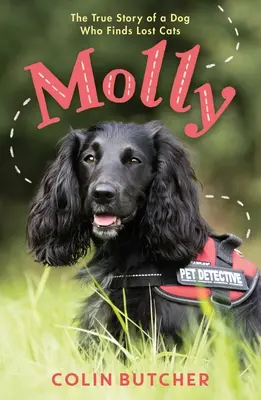 Molly: Az elveszett macskákat mentő kutya igaz története - Molly: The True Story of the Dog Who Rescues Lost Cats