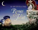 Tengerimalac Rómeó és Júlia - Guinea Pig Romeo & Juliet