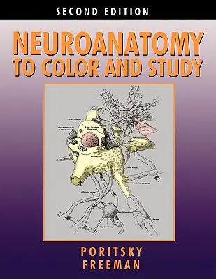 Neuroanatómia színes és tanulmányozható - Neuroanatomy to Color and Study