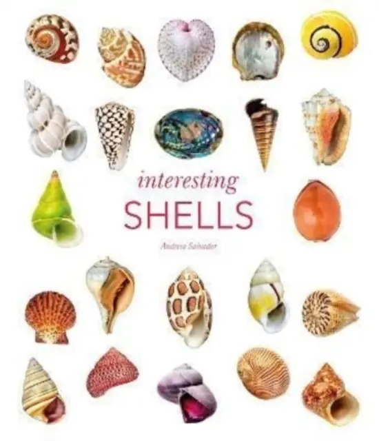 Érdekes kagylók - Interesting Shells