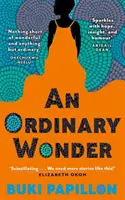 Ordinary Wonder - Szívszorító és bájos coming-of-age regény a szerelemről, a veszteségről és a kockázatvállalásról - Ordinary Wonder - Heartbreaking and charming coming-of-age fiction about love, loss and taking chances