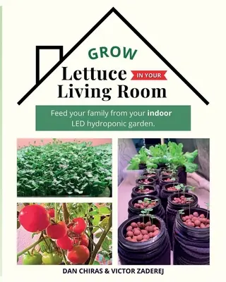 Salátanövények termesztése a nappaliban - Grow Lettuce in Your Living Room