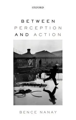 A felfogás és a cselekvés között - Between Perception and Action