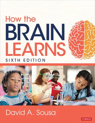 Hogyan tanul az agy - How the Brain Learns