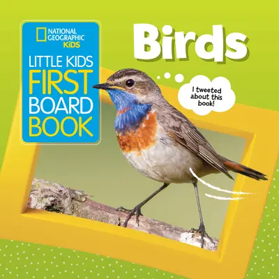 Little Kids First Board Book: Madarak - Little Kids First Board Book: Birds