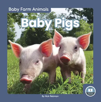 Bébisertések - Baby Pigs