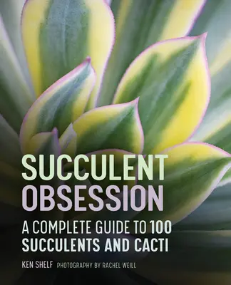 Szukkulens megszállottság: A Complete Guide - Succulent Obsession: A Complete Guide