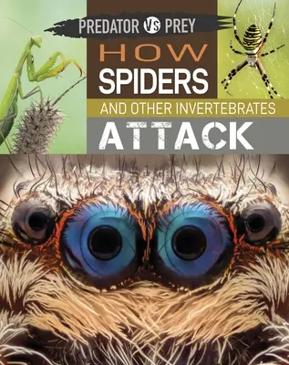 Predator Vs Prey: Hogyan támadnak a pókok és más gerinctelen állatok! - Predator Vs Prey: How Spiders and Other Invertebrates Attack!