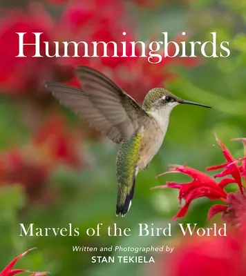 Kolibrik: A madárvilág csodái - Hummingbirds: Marvels of the Bird World