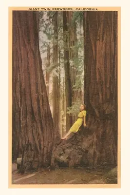 A Vintage Journal lány a Twin Redwood fák szegletében - The Vintage Journal Girl in Nook of Twin Redwood Trees