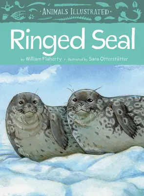 Állatok illusztrálva: Gyűrűsfóka - Animals Illustrated: Ringed Seal