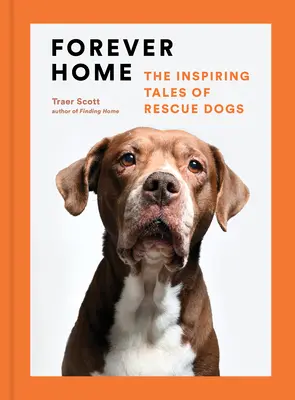 Örökre haza: Mentőkutyák inspiráló történetei - Forever Home: The Inspiring Tales of Rescue Dogs