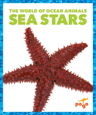 Tengeri csillagok - Sea Stars