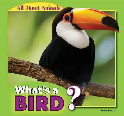 Mi az a madár? - What's a Bird?