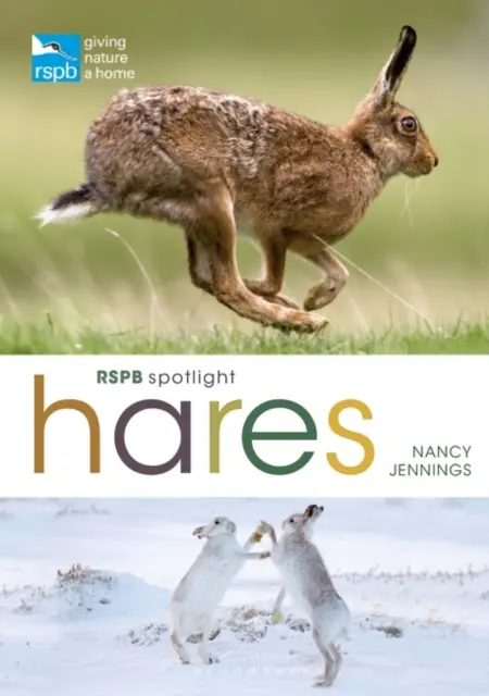 RSPB Spotlight Nyulak - RSPB Spotlight Hares