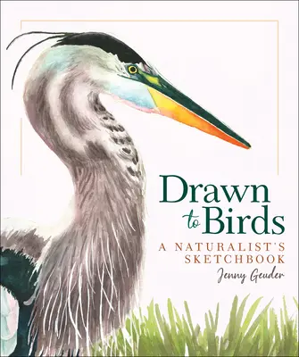 Drawn to Birds: A Naturalist's Sketchbook