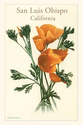 A Vintage Journal San Luis Obispo, Kalifornia pipacsok - The Vintage Journal San Luis Obispo, California Poppies