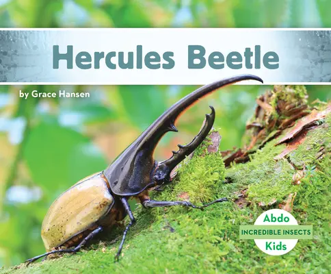 Hercules bogár - Hercules Beetle