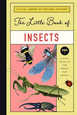 A rovarok kis könyve: A Guide to Beetles, Flies, Ants, Bees, and More (Útmutató a bogarakról, legyekről, hangyákról, méhekről és még sok másról) - The Little Book of Insects: A Guide to Beetles, Flies, Ants, Bees, and More