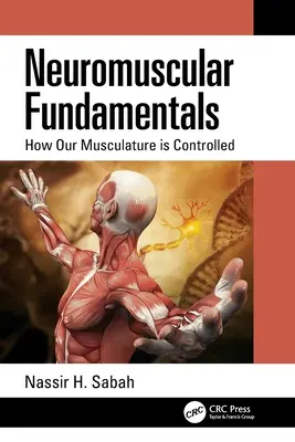 Neuromuszkuláris alapok: Hogyan irányítjuk izomzatunkat - Neuromuscular Fundamentals: How Our Musculature is Controlled