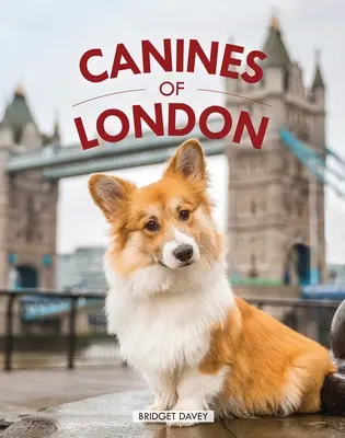 Canines of London (Kutyafotózás, kutyabarátok ajándéka) - Canines of London (Dog Photography, Dog Lovers Gift)