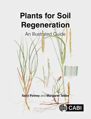 Növények a talajregeneráláshoz: Képes útmutató - Plants for Soil Regeneration: An Illustrated Guide