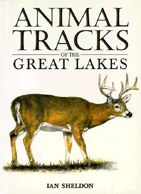 A Nagy-tavak állatnyomai - Animal Tracks of the Great Lakes