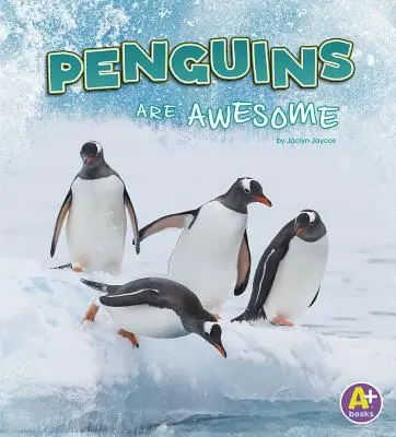 A pingvinek félelmetesek - Penguins Are Awesome