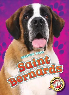 Szent Bernárdok - Saint Bernards