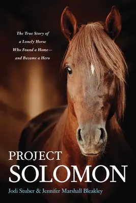 Solomon projekt: Egy magányos ló igaz története, aki otthont talált - és hőssé vált. - Project Solomon: The True Story of a Lonely Horse Who Found a Home--And Became a Hero