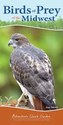 Birds of Prey of the Midwest: A ragadozó madarak könnyű azonosításának útja - Birds of Prey of the Midwest: Your Way to Easily Identify Raptors