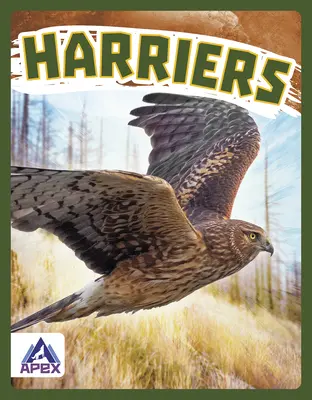 Harrierek - Harriers