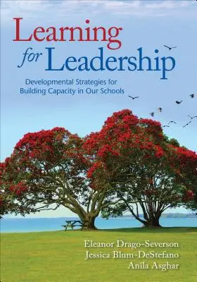 Tanulás a vezetésért: Fejlesztési stratégiák iskoláink kapacitásának kiépítésére - Learning for Leadership: Developmental Strategies for Building Capacity in Our Schools