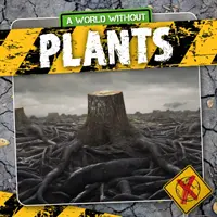 Növények - Plants