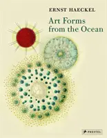 Művészeti formák az óceánból: Ernst Haeckel radioláris lenyomatai - Art Forms from the Ocean: The Radiolarian Prints of Ernst Haeckel