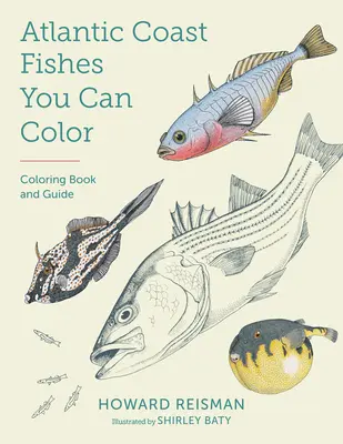 Atlantic Coast Fishes You Can Color!: Színezőkönyv és útmutató - Atlantic Coast Fishes You Can Color!: Coloring Book and Guide