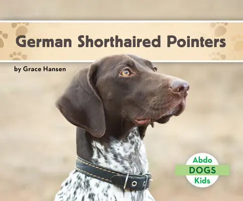 Német rövidszőrű pointerek - German Shorthaired Pointers