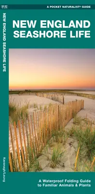 New England Seashore Life - A Waterproof Folding Guide to Familiar Animals & Plants (Új-Anglia tengerparti élővilága - Vízálló, összecsukható útmutató az ismerős állatokhoz és növényekhez) - New England Seashore Life - A Waterproof Folding Guide to Familiar Animals & Plants